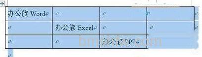 如何将Word转Excel05 如何将Word转Excel05