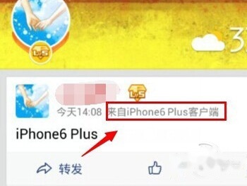 显示成功 显示成功