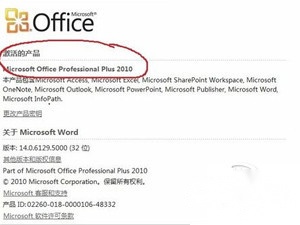 Microsoft Office 2010激活完成