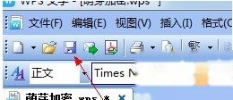 WPS文档如何加密3 WPS文档如何加密3