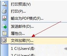 WPS文档如何加密4 WPS文档如何加密4