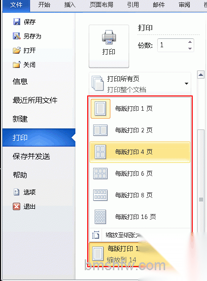 缩放打印 缩放打印