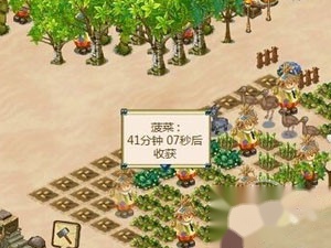 QQ怎么种菜