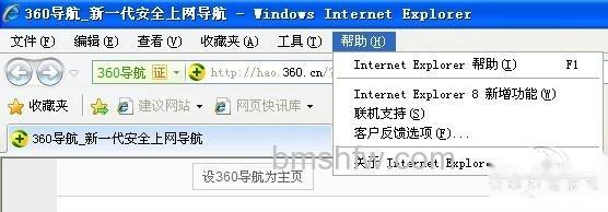 【怎么看IE版本】步骤2