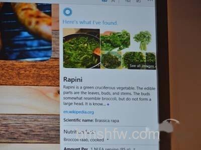Windows 10全新浏览器截图5 Windows 10全新浏览器截图5