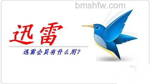 迅雷会员账号有什么用
