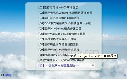 老毛桃winpe Build 20120501程序