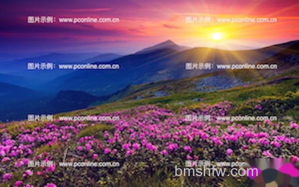 google识图 google识图