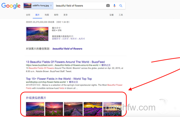 google识图 google识图