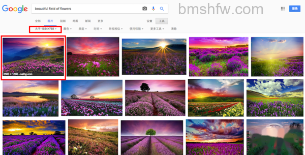 google识图 google识图