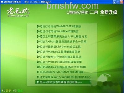 可以看到u盘启动电脑后的模拟状态显示 可以看到u盘启动电脑后的模拟状态显示