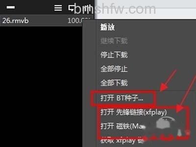 6、还可以将bt种子打开,边下载边播放 影音先锋怎么看片