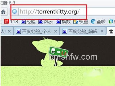 torrentkitty打不开怎么办 torrentkitty打不开怎么办