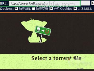 torrentkitty打不开怎么办 torrentkitty打不开怎么办