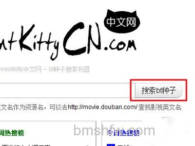 torrentkitty打不开怎么办 torrentkitty打不开怎么办
