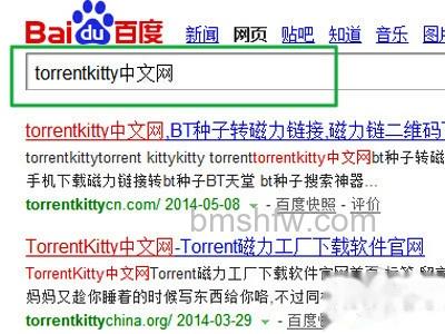 torrentkitty打不开怎么办 torrentkitty打不开怎么办