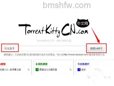 torrentkitty中文网怎么用 torrentkitty中文网怎么用