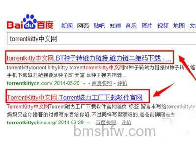 torrentkitty中文网怎么用 torrentkitty中文网怎么用