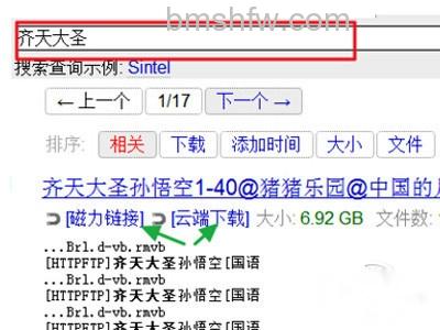 torrentkitty打不开怎么办 torrentkitty打不开怎么办