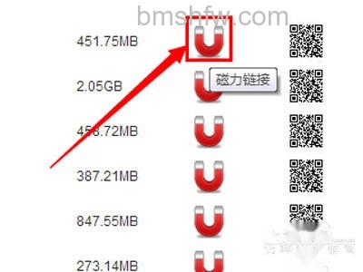 torrentkitty中文网怎么用 torrentkitty中文网怎么用