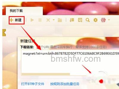 torrentkitty中文网怎么用 torrentkitty中文网怎么用