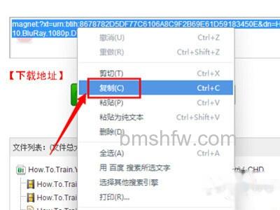 torrentkitty中文网怎么用 torrentkitty中文网怎么用
