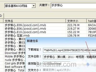 P2P种子搜索器怎么用