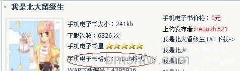 iBook支持什么格式 iBook支持什么格式