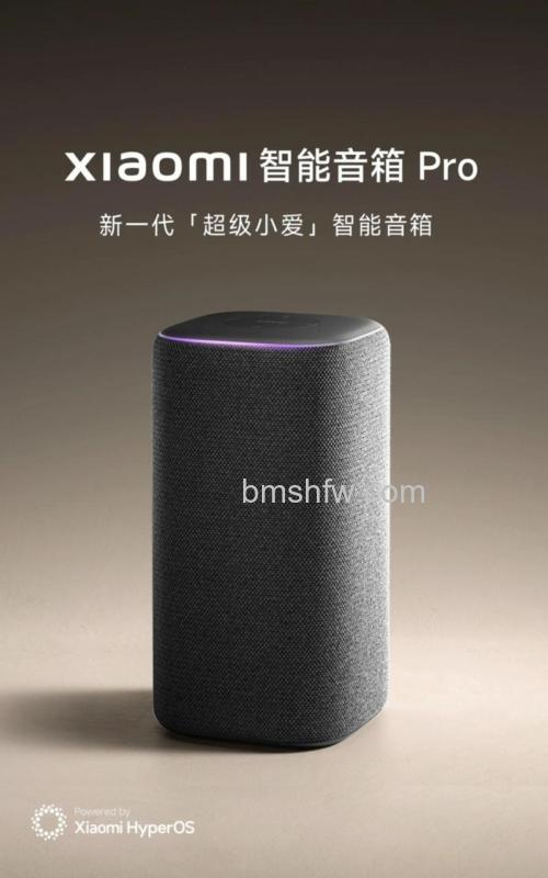 手机音箱是什么?发展历程与特点解析(2016版)