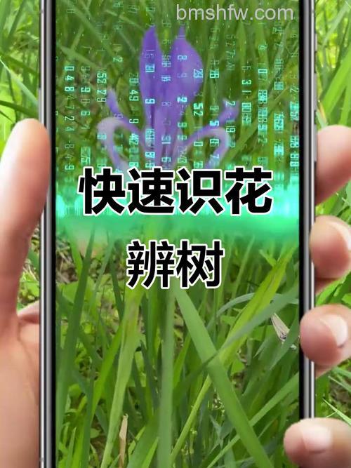 微信怎么识别花草 微信识别花草的操作方法【详解】
