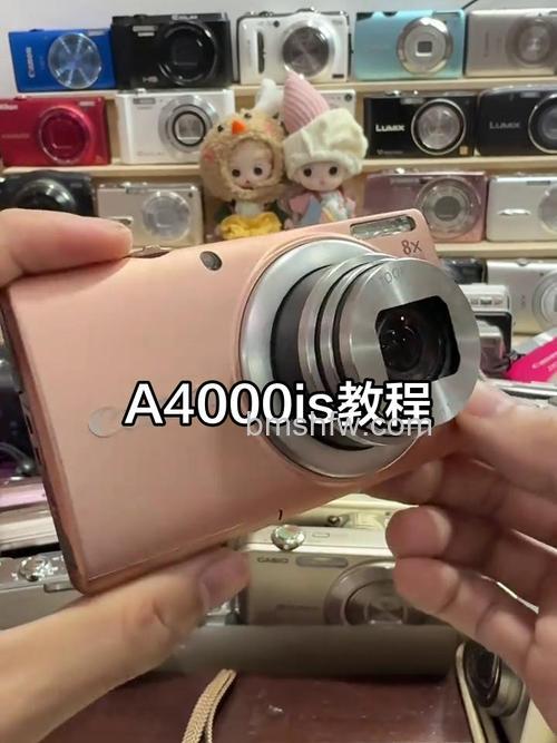 佳能A4000 IS问题有哪些?佳能A4000 IS问题介绍【详解】