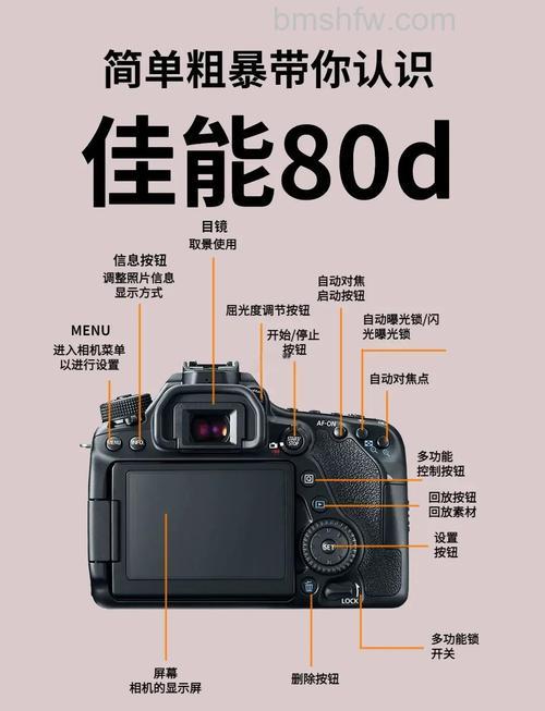 佳能单反镜头如何选择?佳能80D配哪种镜头好详解