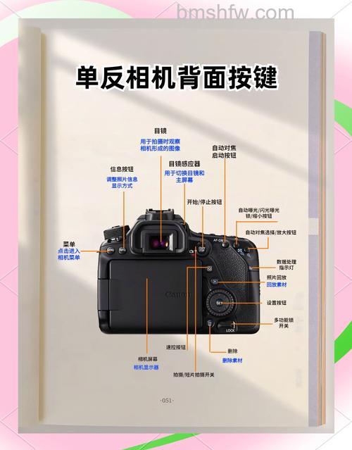 佳能单反相机哪款好?佳能EOS 80D和800D区别介绍详解