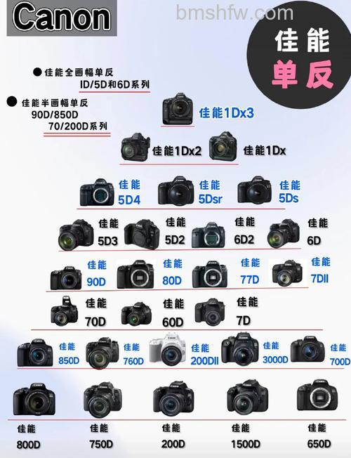 佳能单反全画幅和半画幅有什么区别?佳能5D和6D哪款好详解