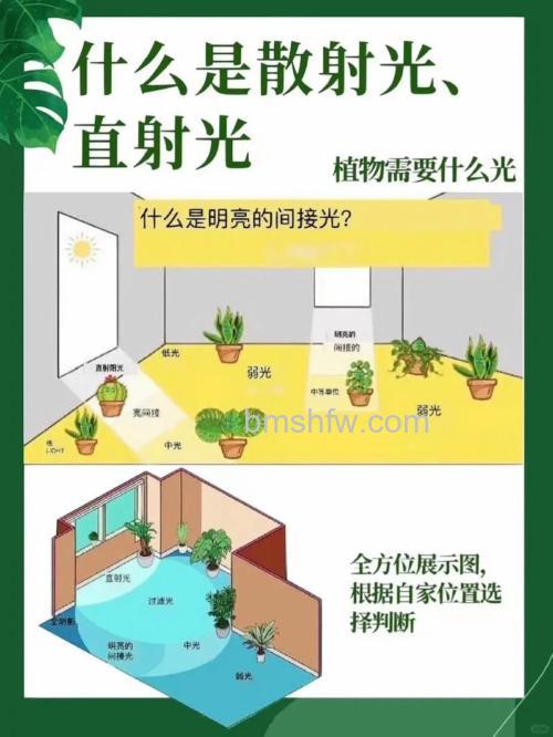 如何运用户外的光线?运用户外的光线技巧详解