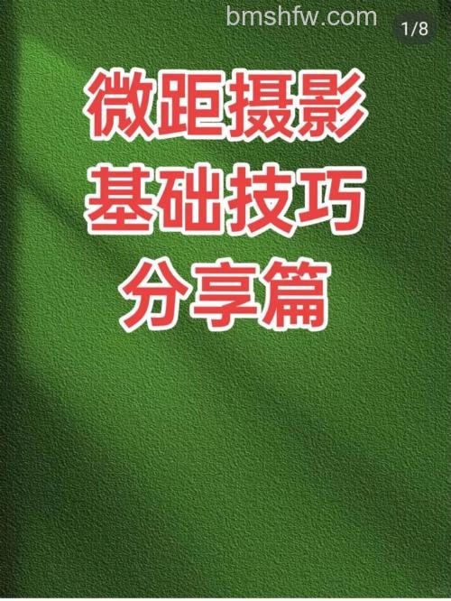 春季摄影需要注意什么？春季摄影注意事项详解