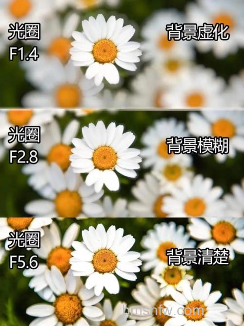 如何拍摄背景虚化的照片?拍摄背景虚化照片方法详细介绍