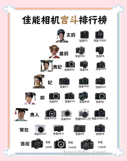 DV机排行十大品牌推荐:热门品牌与产品详解