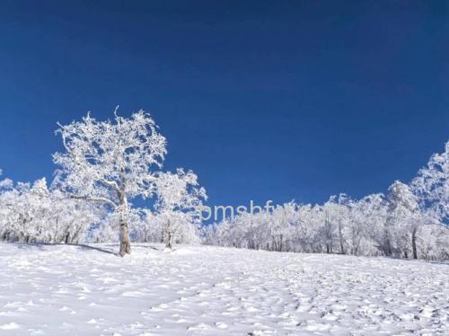 冬季拍摄雪景有什么技巧?雪景拍摄技巧全攻略
