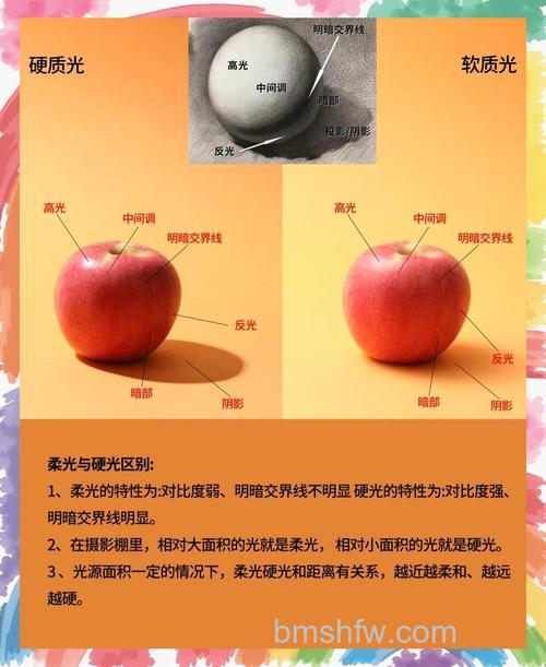 摄影硬光和软光有什么区别?摄影硬光与软光区别详解