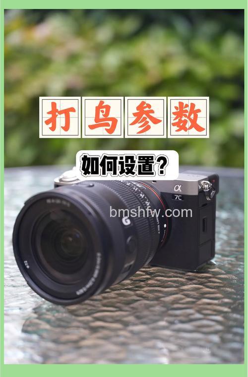 如何拍摄鸟类照片?拍摄鸟类技巧详细介绍