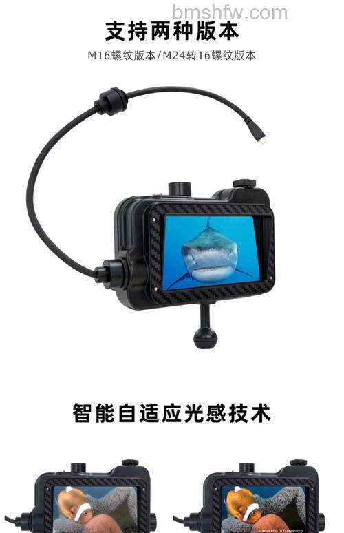 潜水摄像机产品推荐:GoPro与YoCam详细对比