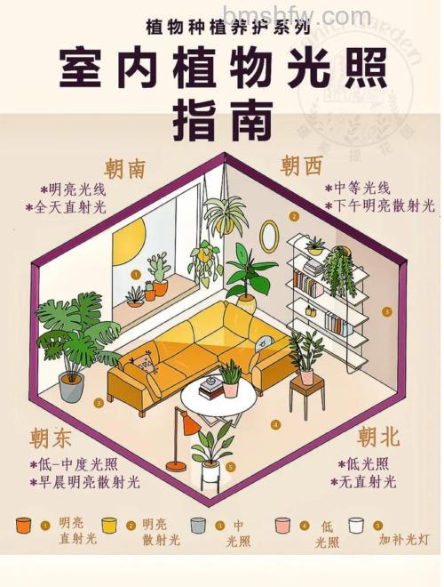如何正确采光?正确采光方法指南