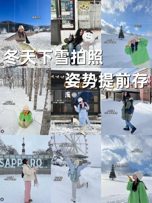 如何拍摄飘落的雪花?拍摄飘落雪花技巧与器材指南