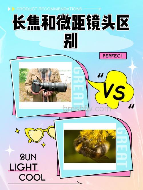 什么是微距镜头?微距镜头与普通镜头的区别是什么【详解】