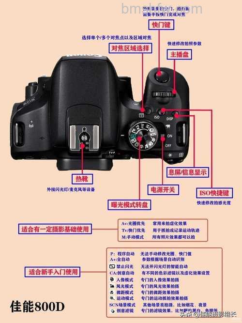 佳能500D如何使用？佳能500D使用技巧分享