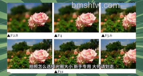 小光圈使用技巧有哪些:小光圈和大光圈区别【详细介绍】