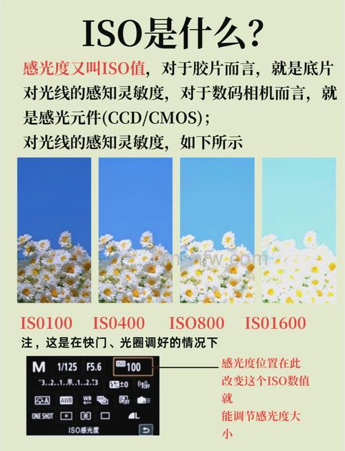 什么环境下适合低ISO:ISO感光度设置教程【详细介绍】