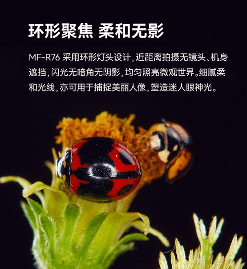 微距环闪是什么:微距环闪有什么作用【详细介绍】