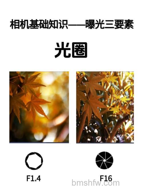 相机光圈的妙用：摄影实战中典型光圈运用与技巧